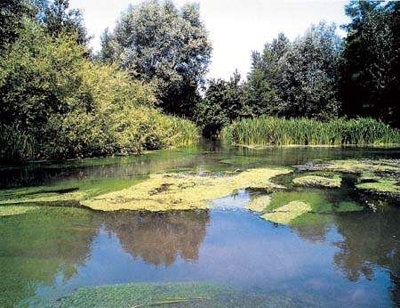 IL FIUME